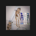 Creepy Hanging Skeleton Mini Toy