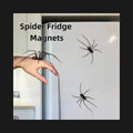 Creepy Crawly Spider Fridge Magnets