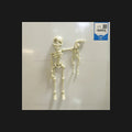 Charming Skeleton Couple Mini Figures