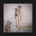 Hanging Mini Skeleton Figure